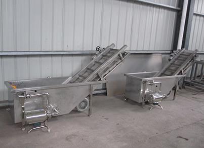 Fruit washing machine